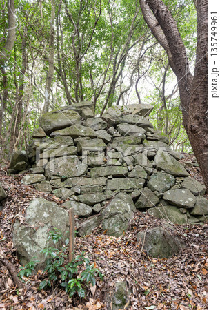 佐野鞍懸城跡 135749961