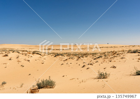 People on a desert dune against a clear blue sky. Exploring vast sand landscape 135749967