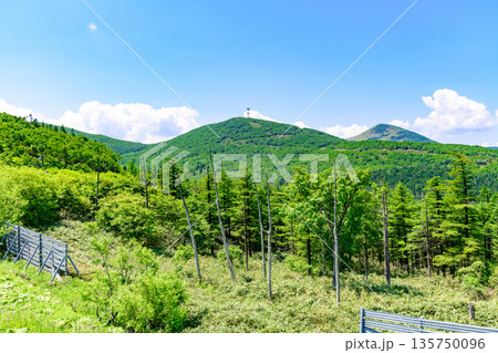 青空の狩勝峠 青空の狩勝峠 135750096