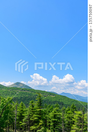青空の狩勝峠 135750097