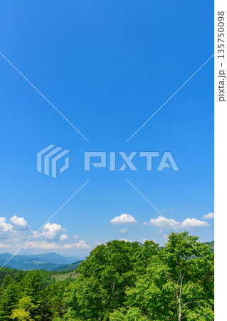 青空の狩勝峠 135750098