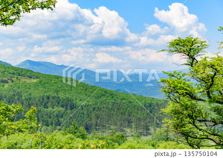 青空の狩勝峠 135750104