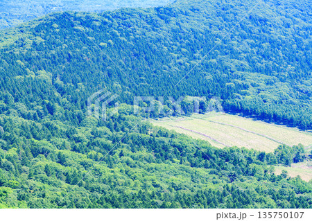 青空の狩勝峠 青空の狩勝峠 135750107