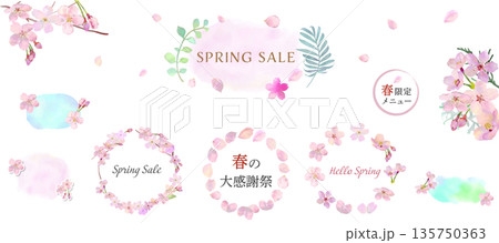 春の桜の手描き水彩のフレームセット　ベクターイラスト　白背景　桜のリース　広告　チラシ　カード 135750363
