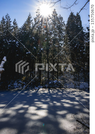 凍った池に伸びる木々の影と冬の太陽 135750670