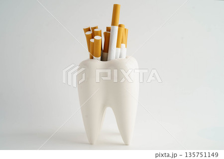 Dental implant, artificial tooth roots into jaw, root canal of dental treatment, gum disease, teeth model for dentist studying about dentistry. 135751149