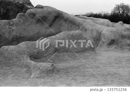Casa Grande National Monument Black and White Film 135751256