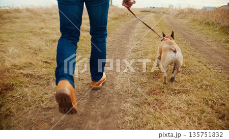 A person leisurely walking a small dog along a dirt path surrounded by grass and open fields, enjoying a peaceful moment in nature while creating a bond through companionship. A person leisurely walking a small dog along a dirt path surrounded by grass and open fields, enjoying a peaceful moment in nature while creating a bond through companionship. 135751832