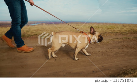 A Person Walking a French Bulldog on a Leash Through a Beautiful Natural Landscape Featuring a Scenic Pathway and Open Terrain Under a Clear Sky A Person Walking a French Bulldog on a Leash Through a Beautiful Natural Landscape Featuring a Scenic Pathway and Open Terrain Under a Clear Sky 135751873
