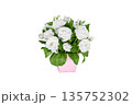 White eustoma flower bouquet in pink decorative pot isolated on clean background 135752302