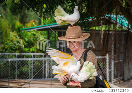 Woman in outdoor aviary feeding colorful fancy pigeons, one bird perched on hat while others rest in her hands, interaction between people and decorative birds in nature 135752349