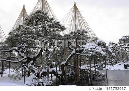 雪吊りが美しい兼六園 雪吊りが美しい兼六園 135752487