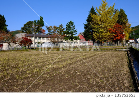 秋の小学校と田圃の景色 135752653