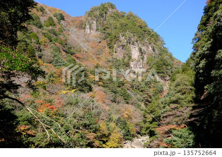三段峡岩山の紅葉 135752664