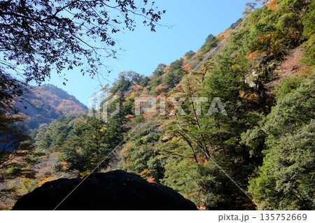 三段峡岩山のもみじの景色 三段峡岩山のもみじの景色 135752669