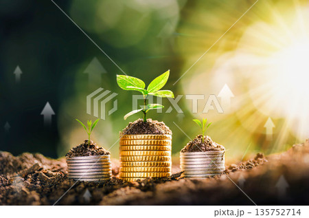 Growing Money - Plant On Coins - Finance And Investment Concept. The seedlings are growing on the coins placed on the ground, thinking about financial growth. Savings Coins. Interest Concept. Growing Money - Plant On Coins - Finance And Investment Concept. The seedlings are growing on the coins placed on the ground, thinking about financial growth. Savings Coins. Interest Concept. 135752714