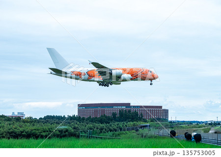 空港に着陸してくるフライングホヌLa 空港に着陸してくるフライングホヌLa 135753005