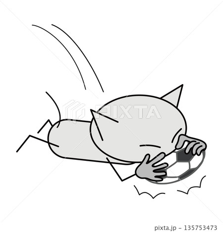 サッカー！少しでも時間稼ぎしたい猫 135753473