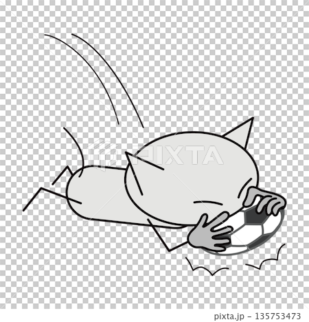 サッカー！少しでも時間稼ぎしたい猫 135753473