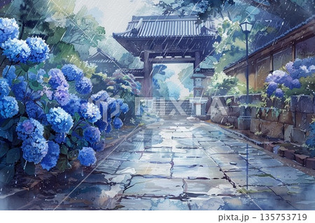梅雨の時期に古寺へと続く石畳の道に咲く美しく情緒ある紫陽花の水彩画イラスト 135753719