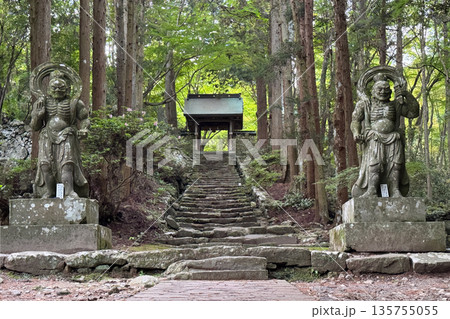 両子寺仁王像と新緑 両子寺仁王像と新緑 135755055
