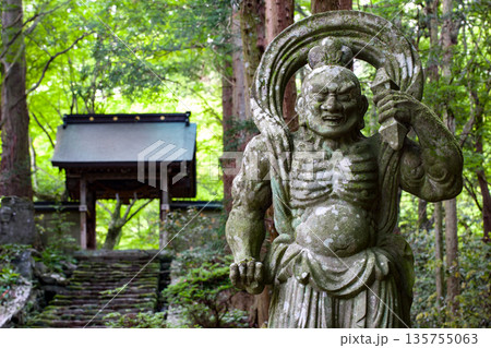 両子寺仁王像と新緑 両子寺仁王像と新緑 135755063
