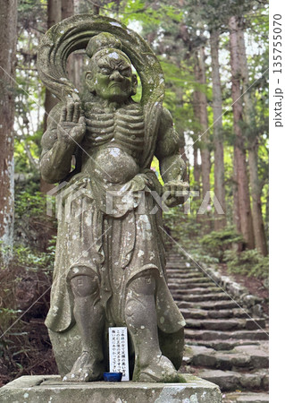 両子寺仁王像と新緑 両子寺仁王像と新緑 135755070