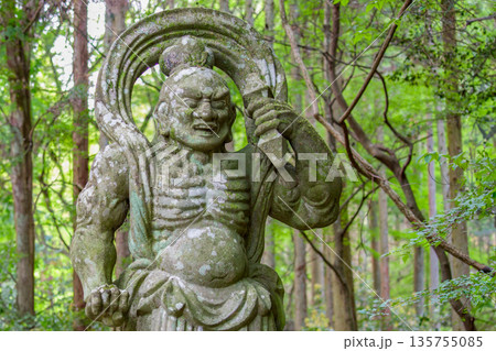 両子寺仁王像と新緑 両子寺仁王像と新緑 135755085