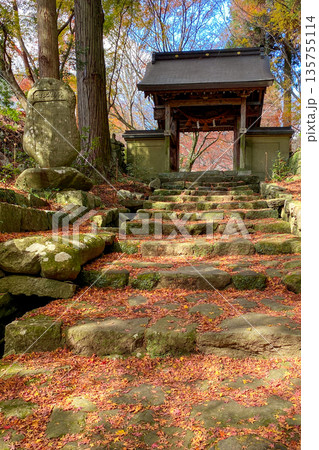 国東半島 両子寺山門の紅葉 国東半島 両子寺山門の紅葉 135755114
