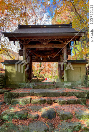 国東半島 両子寺山門の紅葉 国東半島 両子寺山門の紅葉 135755115