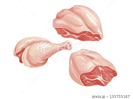 水彩風の鶏肉イラスト 135755187