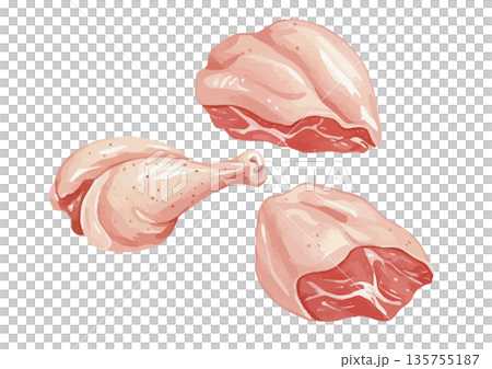 水彩風の鶏肉イラスト 135755187