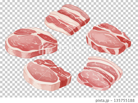 Watercolor style pork illustration Watercolor style pork illustration 135755188