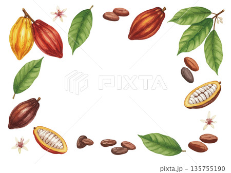 水彩風のカカオイラスト 水彩風のカカオイラスト 135755190