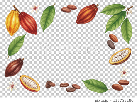 水彩風のカカオイラスト 水彩風のカカオイラスト 135755190