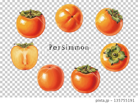 水彩風の柿イラスト 135755191