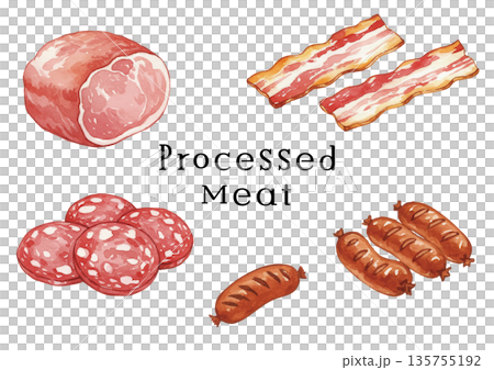 水彩風格的加工肉類(培根、火腿、維也納香腸、薩拉米香腸)插圖 水彩風格的加工肉類(培根、火腿、維也納香腸、薩拉米香腸)插圖 135755192