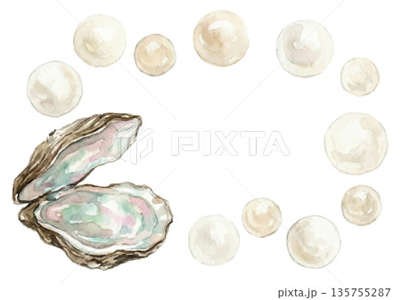 水彩風の真珠イラスト 135755287