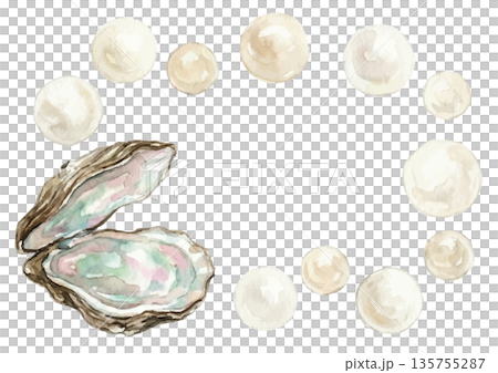 水彩風の真珠イラスト 135755287