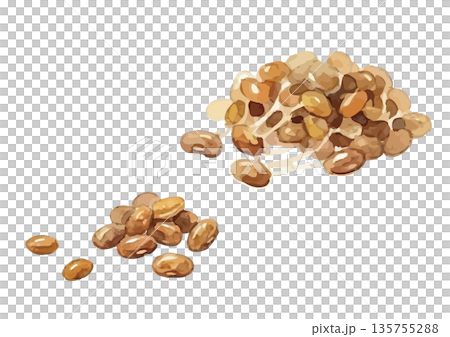 水彩風の納豆イラスト 水彩風の納豆イラスト 135755288