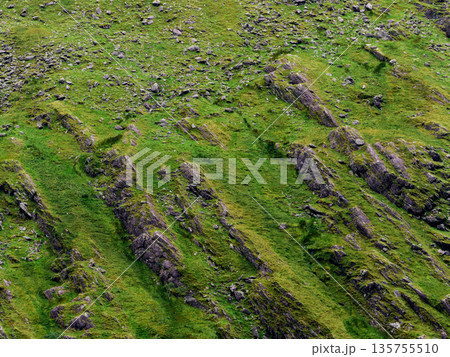 Rugged mountain slope densely covered with vibrant green grass and numerous grey rocks. This natural landscape appears steep and textured, bathed in daylight, showcasing an untamed environment. 135755510