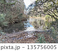 冬　里山　溜め池 135756005