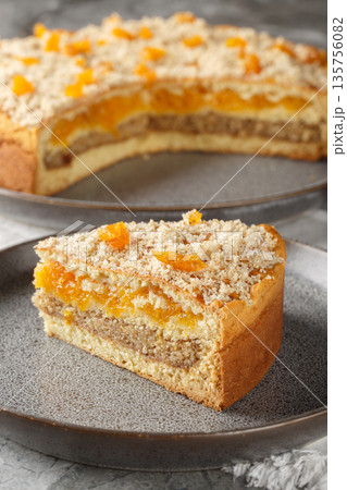 Layered pie with dried apricots and ground nuts close-up in a plate. Vertical Layered pie with dried apricots and ground nuts close-up in a plate. Vertical 135756082