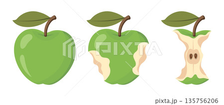 Ripe green apple eating steps icon set. Stages of an eaten apple, whole, bitten and core. Illustration. Ripe green apple eating steps icon set. Stages of an eaten apple, whole, bitten and core. Illustration. 135756206