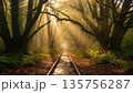 Autumn Forest Railway Track With Sunbeams. AI Generated Autumn Forest Railway Track With Sunbeams. AI Generated 135756287