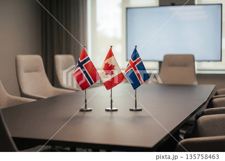 National flags on a conference table representing international cooperation National flags on a conference table representing international cooperation 135758463