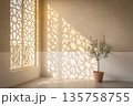 Potted Olive Tree Casting Geometric Shadows in Minimalist Sunny Room with Modern Design. 135758755