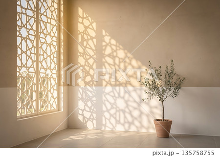 Potted Olive Tree Casting Geometric Shadows in Minimalist Sunny Room with Modern Design. 135758755
