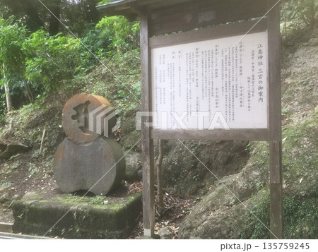 鎌倉＆江ノ島散策　2025年 135759245