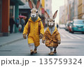 Two rabbits walking down city street in colorful coats, concept of urban life 135759324